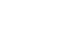 Logo Zimbo